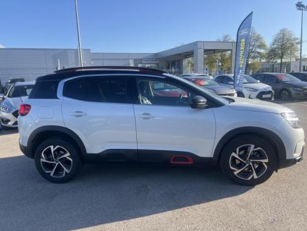 CITROEN C5 Aircross BlueHDi 130ch S&S Shine EAT8 à vendre à Dijon - Image n°4