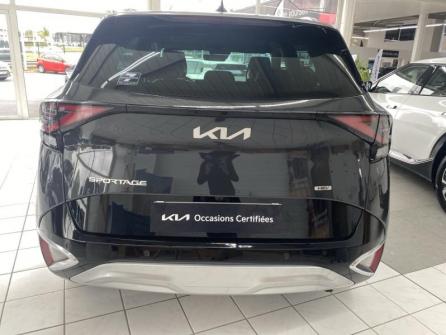 KIA Sportage 1.6 T-GDi 230ch HEV  Design BVA6 4x2 à vendre à Compiègne - Image n°6